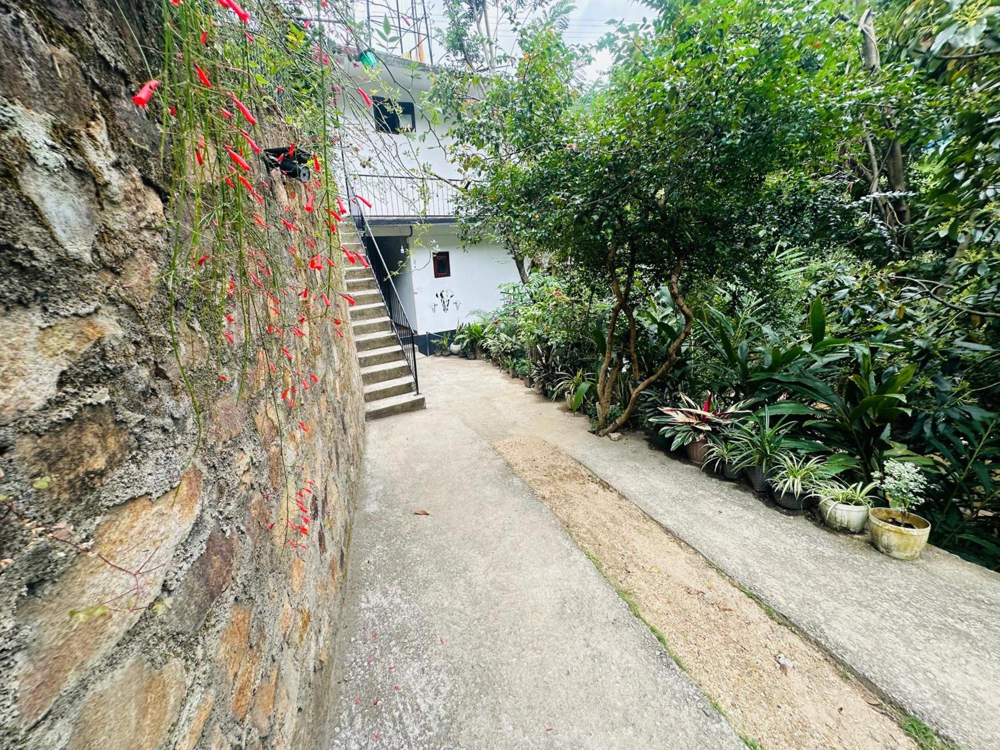 River Splendour Home Stay เอลลา ภายนอก รูปภาพ