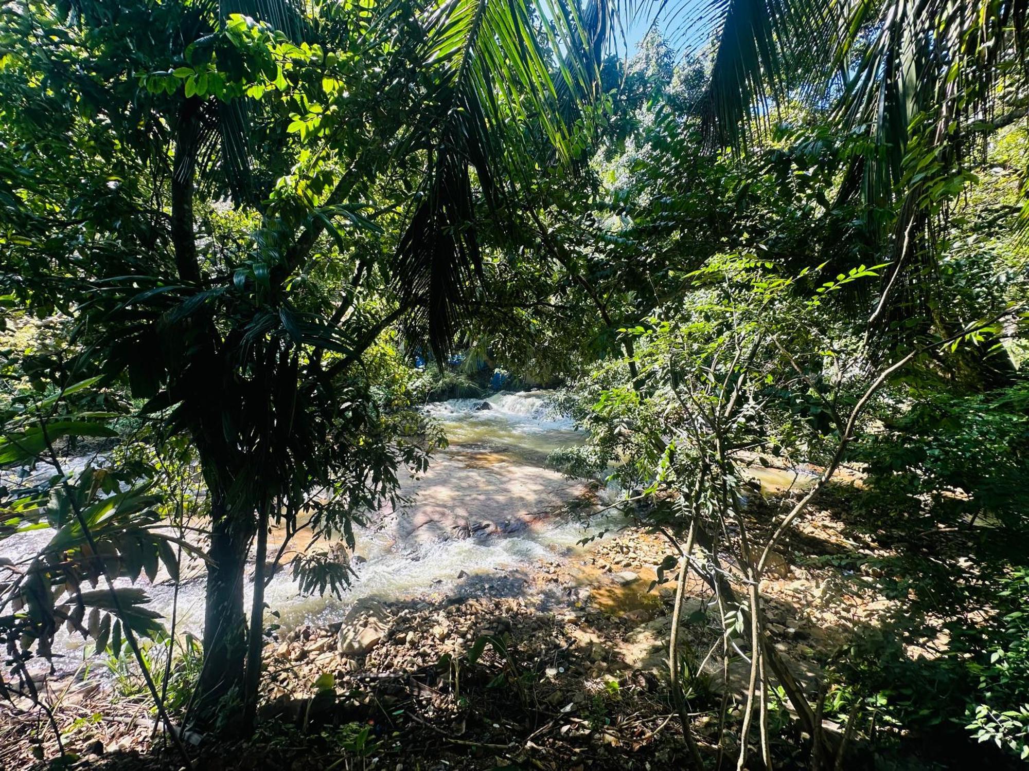 River Splendour Home Stay เอลลา ภายนอก รูปภาพ