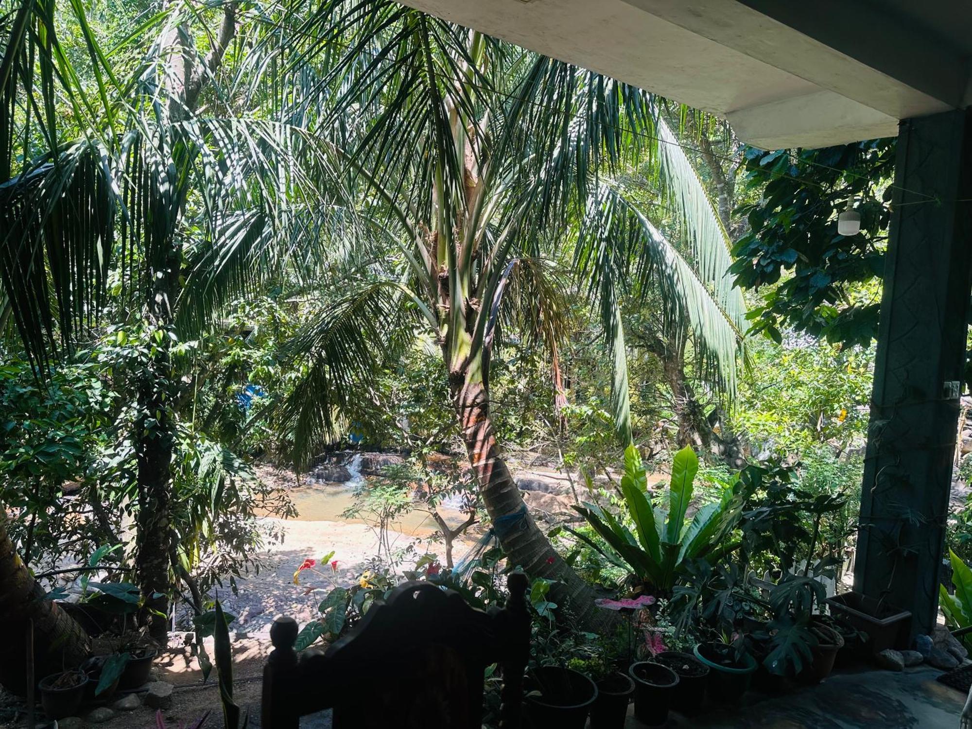 River Splendour Home Stay เอลลา ภายนอก รูปภาพ