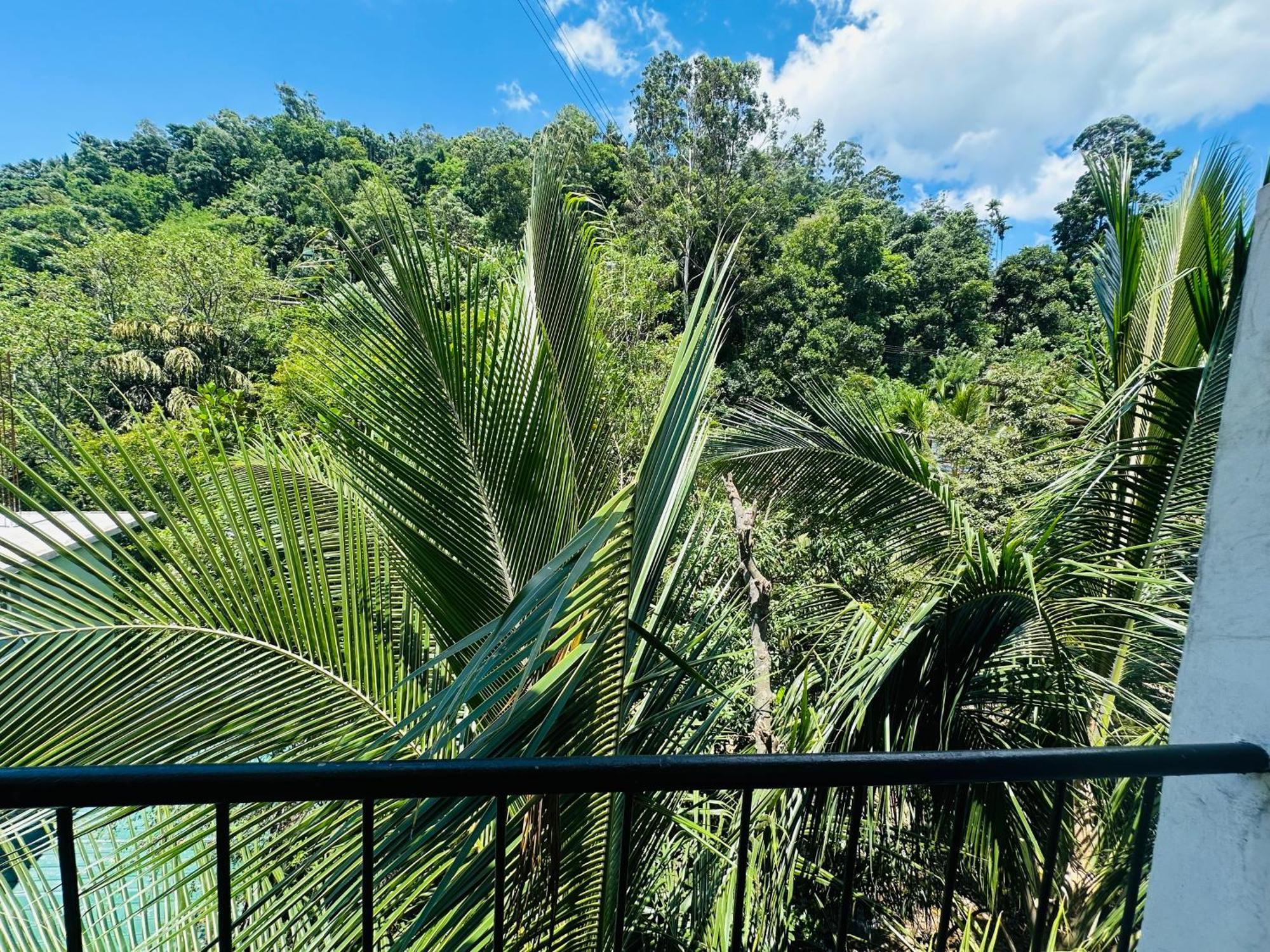 River Splendour Home Stay เอลลา ภายนอก รูปภาพ