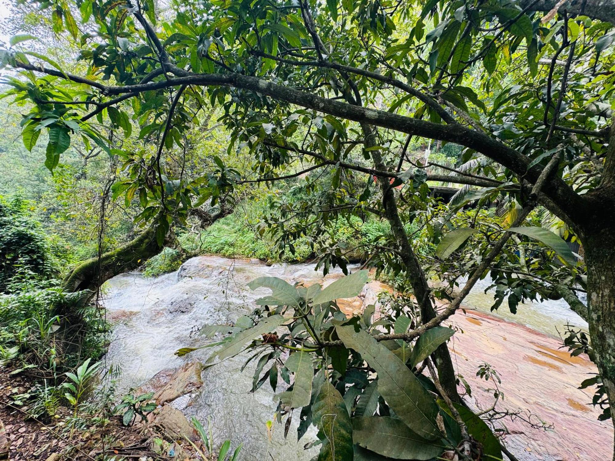 River Splendour Home Stay เอลลา ภายนอก รูปภาพ